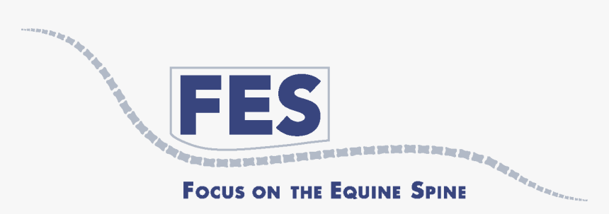 Focus On The Equine Spine - Parallel, HD Png Download