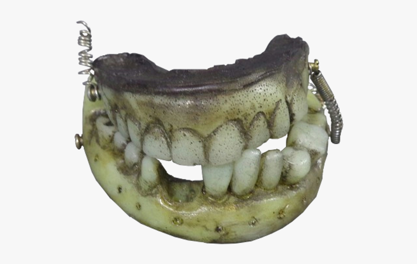 Fang, HD Png Download