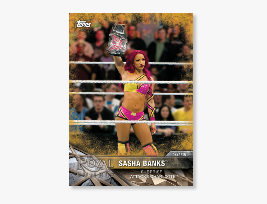 Royal Rumble 2016 Women's, HD Png Download