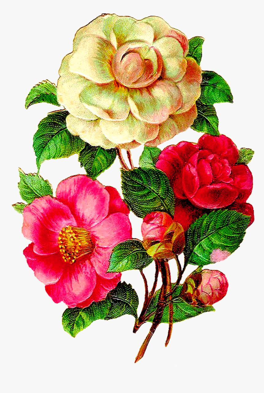 Transparent Vintage Floral Png - Vintage Flower Illustration Png, Png Download