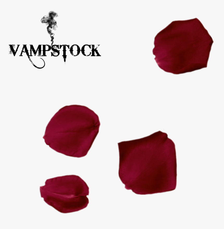 Transparent Flower Petal Clipart - Single Rose Petal Png, Png Download
