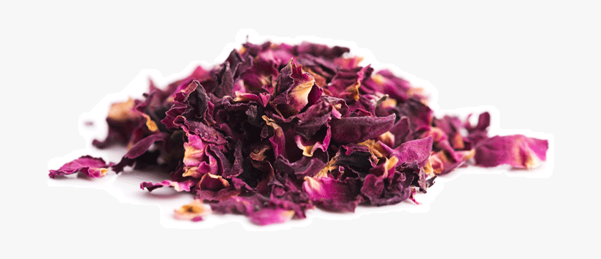 File D6723955c1 Original - Petal, HD Png Download