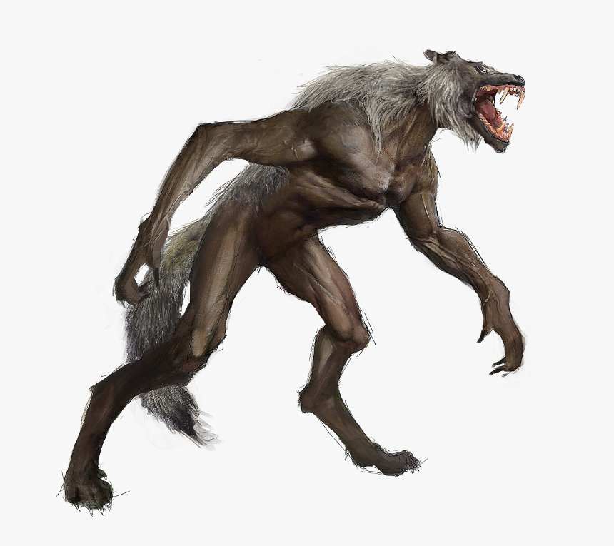 Werewolf Png Photo - Illustration, Transparent Png