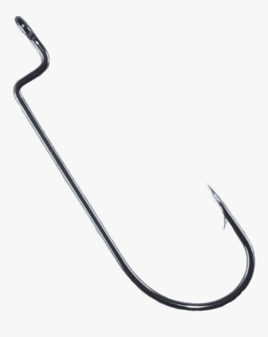 Reptile, HD Png Download