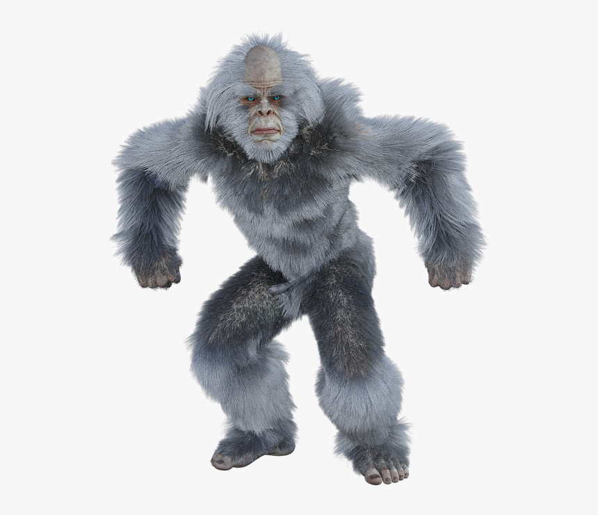 Yeti, Bigfoot, Snow Man, Almas, Sasquatch, Yowie - Gorilla, HD Png Download