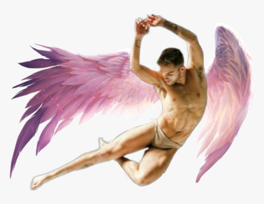 #freetoedit #fairy #angel #man #human #wings #guy #male - Angel Transparent Anime Wings, HD Png Download
