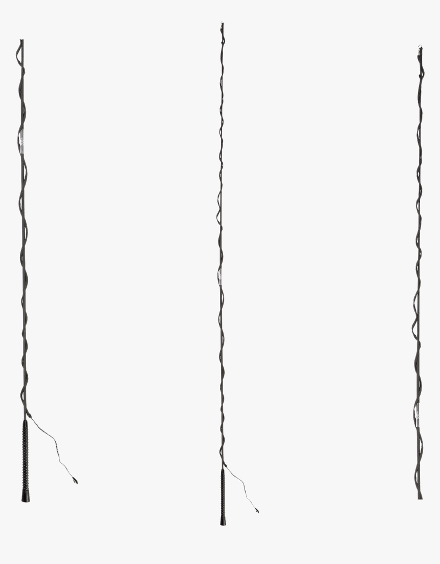 Lunge Whip, Two Parts - Chain, HD Png Download