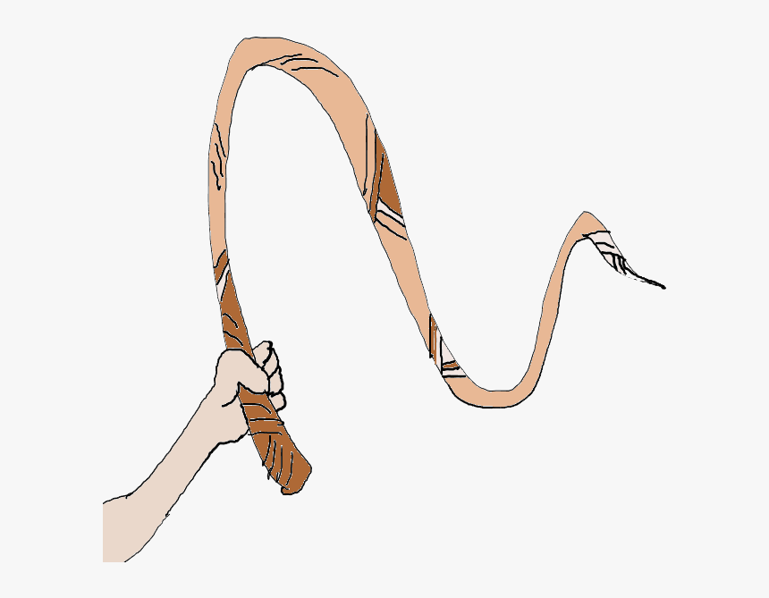 Whip Clipart Png - Horse Whip Clipart Png, Transparent Png