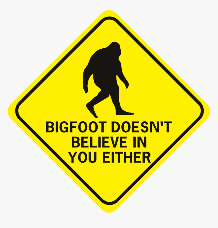 Bigfoot Doesn T Believe In You Either Diamond - You Are Being Watched Signs, HD Png Download