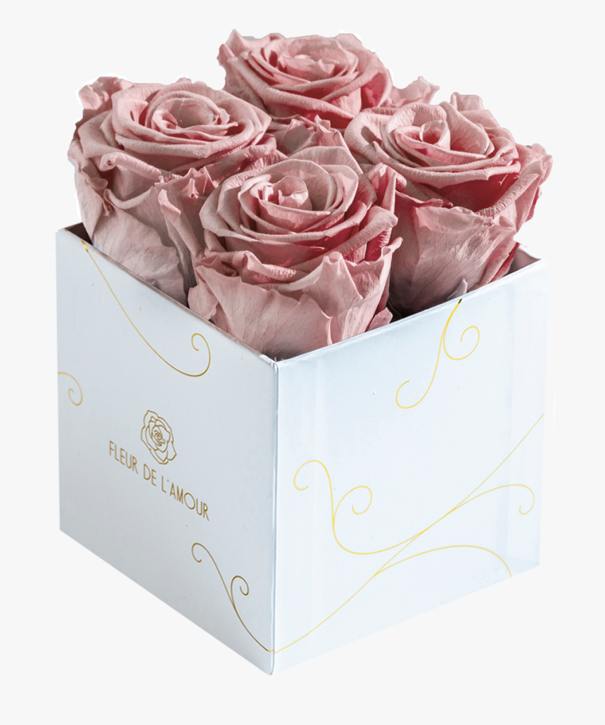 Everlasting Bloom Quatre, HD Png Download