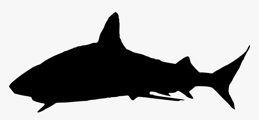Shark Silhouette Png, Transparent Png
