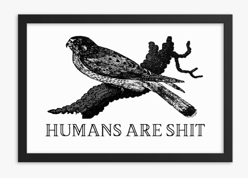 Humans Are Shit Framed Print 
 Srcset Data - Effin Birds, HD Png Download