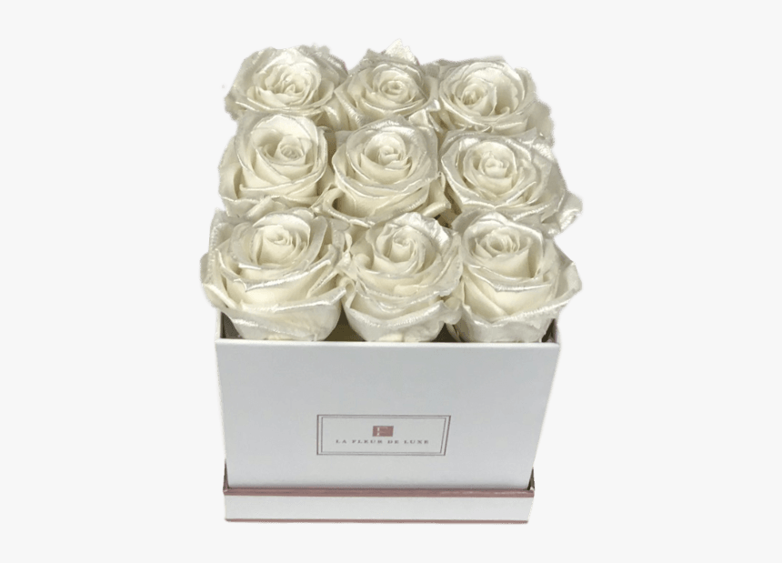 Garden Roses, HD Png Download