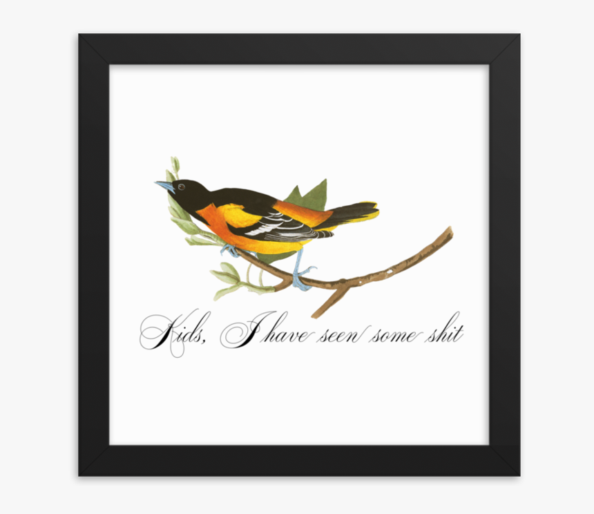 Seen Some Shit Framed 
 Srcset Data - European Swallow, HD Png Download