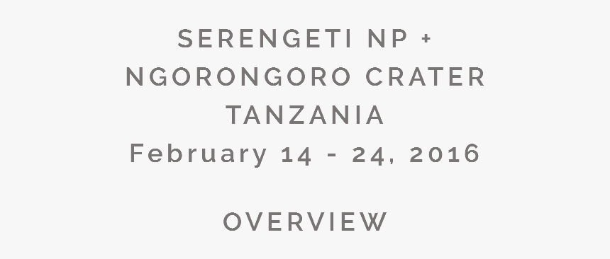 Serengeti Np 
ngorongoro Crater
tanzania
february - Black-and-white, HD Png Download