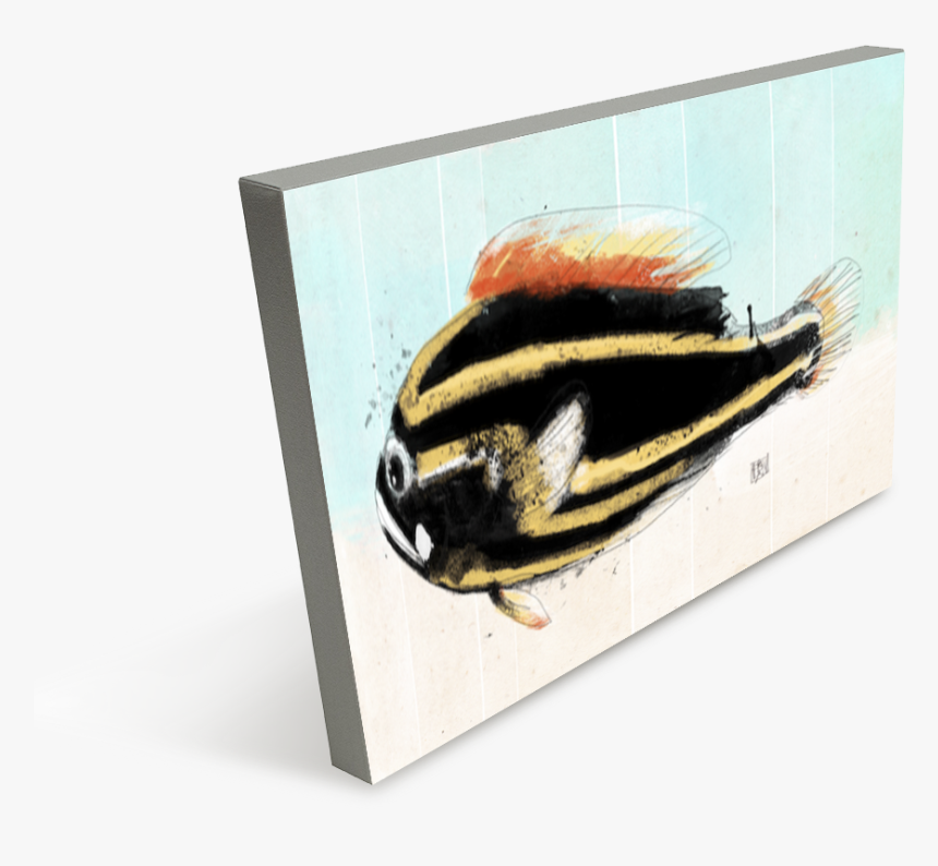 Woodpecker, HD Png Download