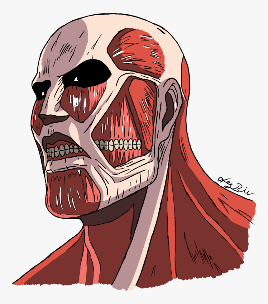 Attack On Titan Transparent Images - Attack On Titan Transparent, HD Png Download