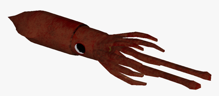 Giant Squid, HD Png Download