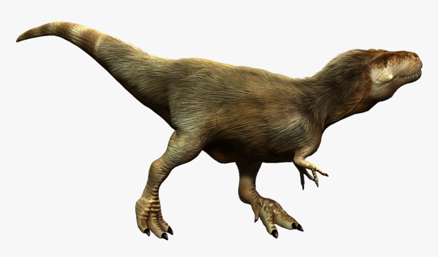 T Rex Png Hd - Tyrannosaurus, Transparent Png