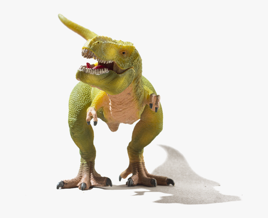 Dino, Hochzeit, Trex, Dinosaur, Jurassic, Valentine - Dinosaur Birthday Card, HD Png Download