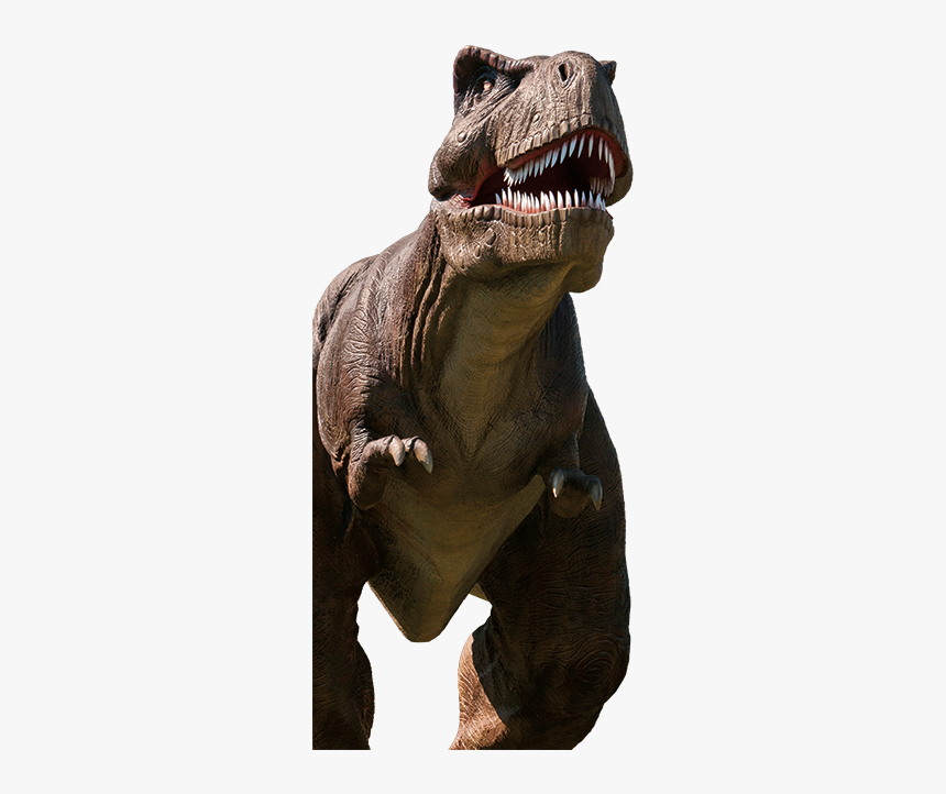 Tyrannosaurus, HD Png Download
