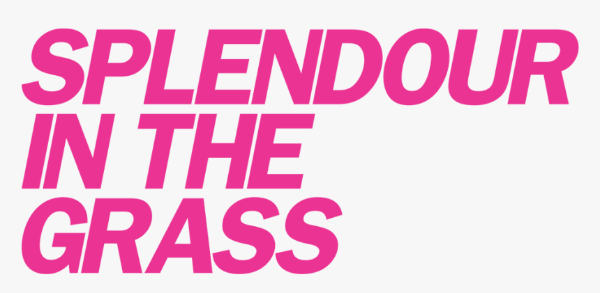 Splendour In The Grass Logo, HD Png Download , Transparent Png Image ...