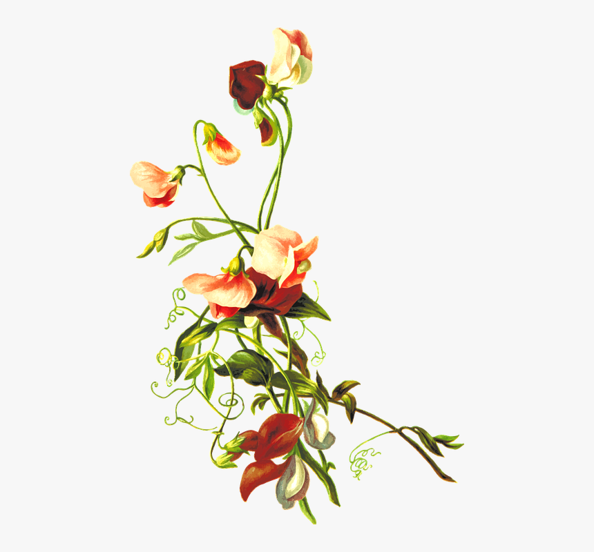 Flower Leaf Png - Leaves And Flowers Png, Transparent Png