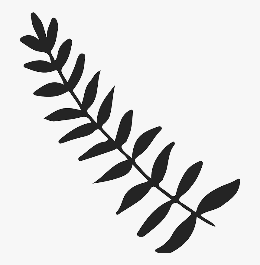 Leafy Branch Png, Transparent Png