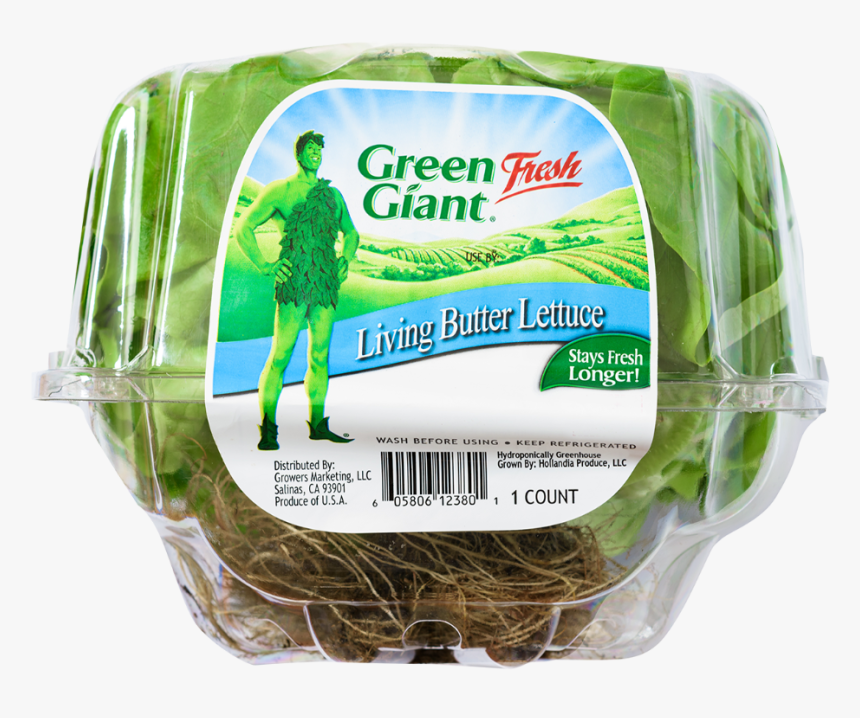 Green Giant Lettuce, HD Png Download