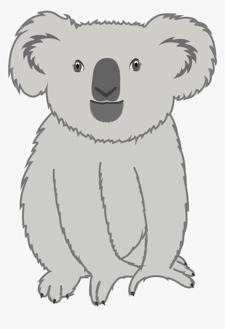 Koala, HD Png Download