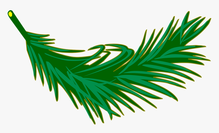 Branch, Frond, Leaf, Leafy, Leaves, Palm, Plant - Palm Leaves Clip Art, HD Png Download