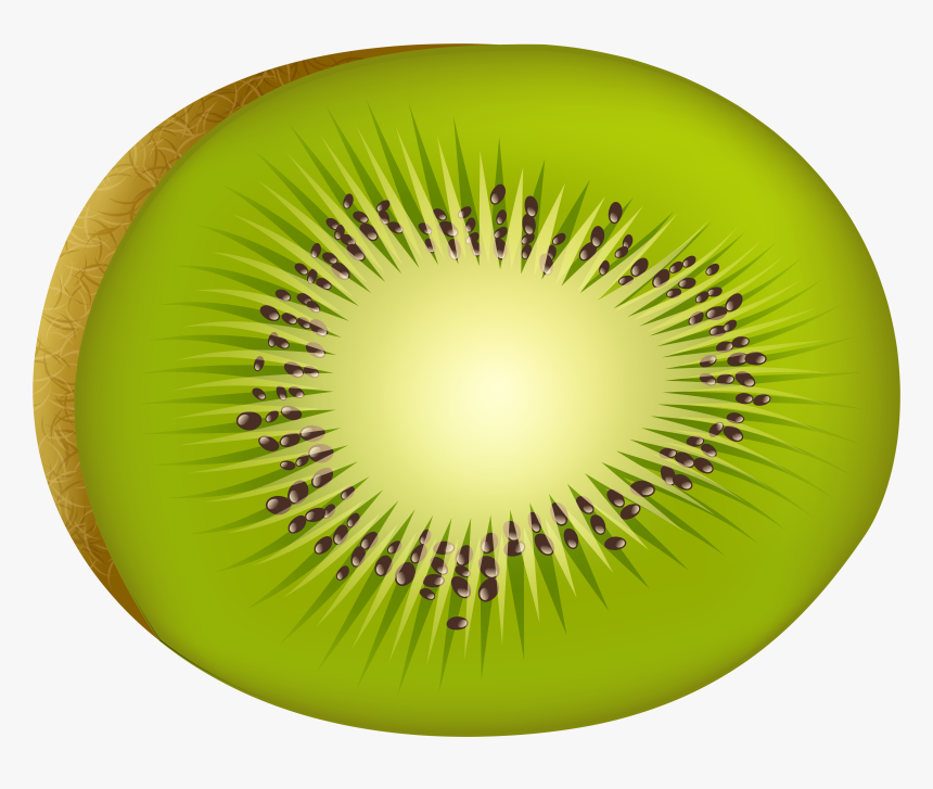 Kiwi Png Clip Art - Kiwi Fruit Clipart Png, Transparent Png