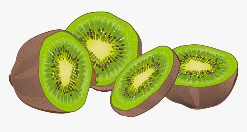 Clipart Kiwi Fruit - Kiwi Fruit Clipart, HD Png Download