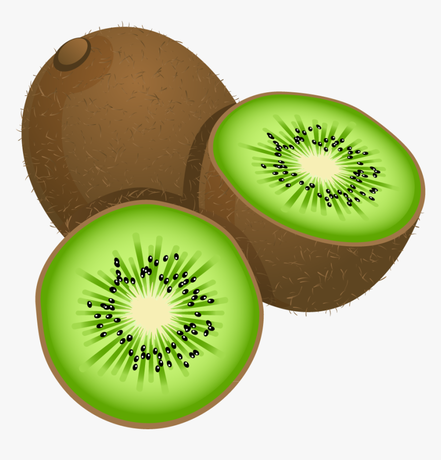 Pin By Marina - Kiwi Clipart, HD Png Download