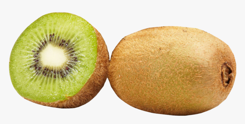 Transparent Kiwi Fruit Clipart - Kiwifruit, HD Png Download
