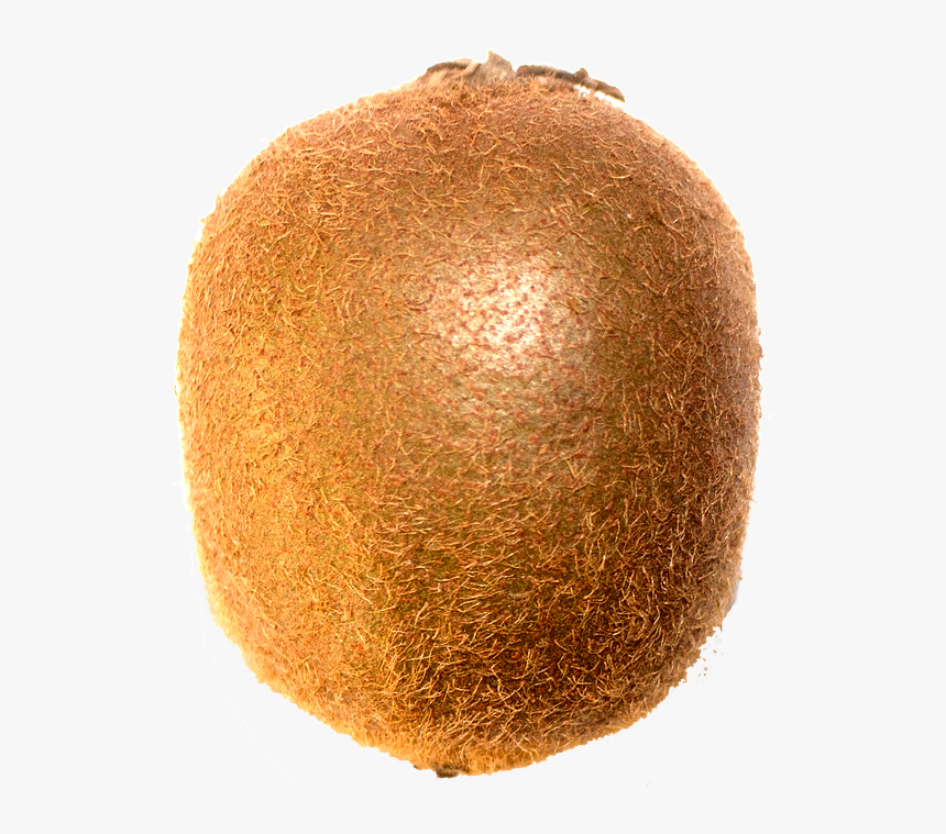 Kiwifruit, HD Png Download