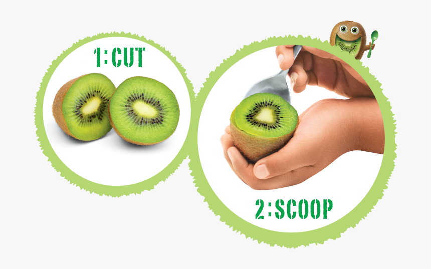 Right Way To Eat Kiwi Fruit, HD Png Download