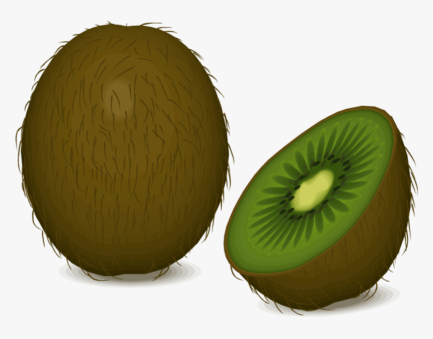news cartoon net: Cartoon Kiwi Fruit Png