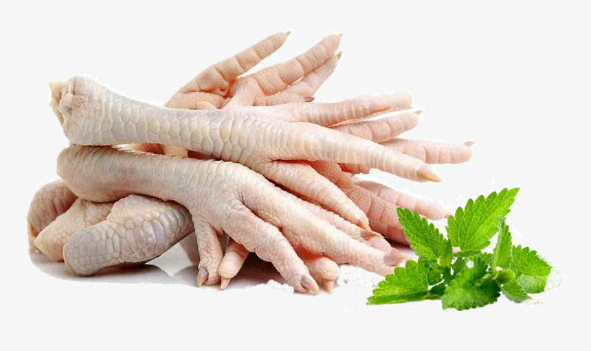 Chân Gà, HD Png Download