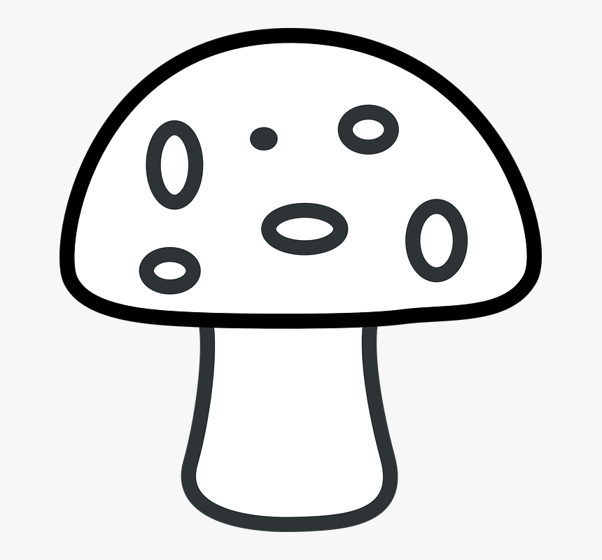 Mushroom, Fly Agaric, Fly Amanita, White - Mushroom Clipart Black And White, HD Png Download