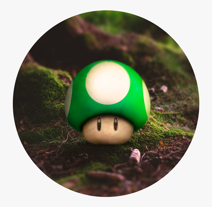 Grass, HD Png Download