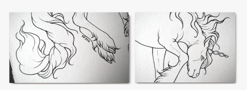 Paper Rip Lineart - Sketch, HD Png Download
