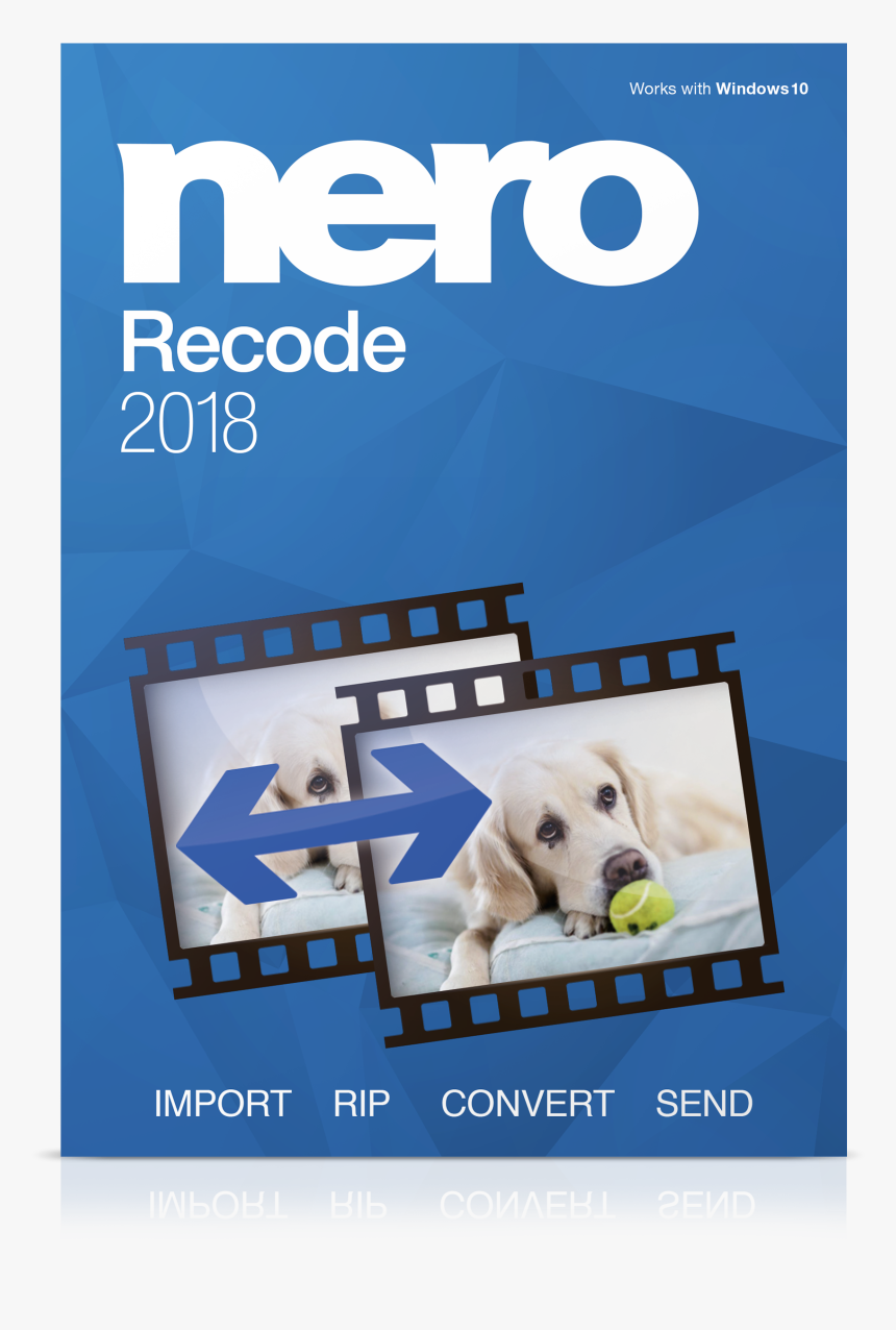 Snout, HD Png Download