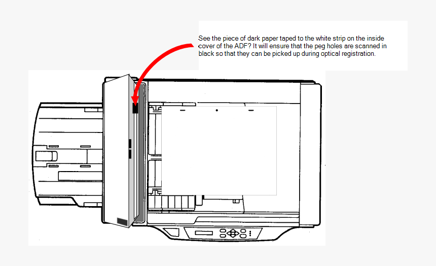 3 Peg Hole Animation Paper, HD Png Download