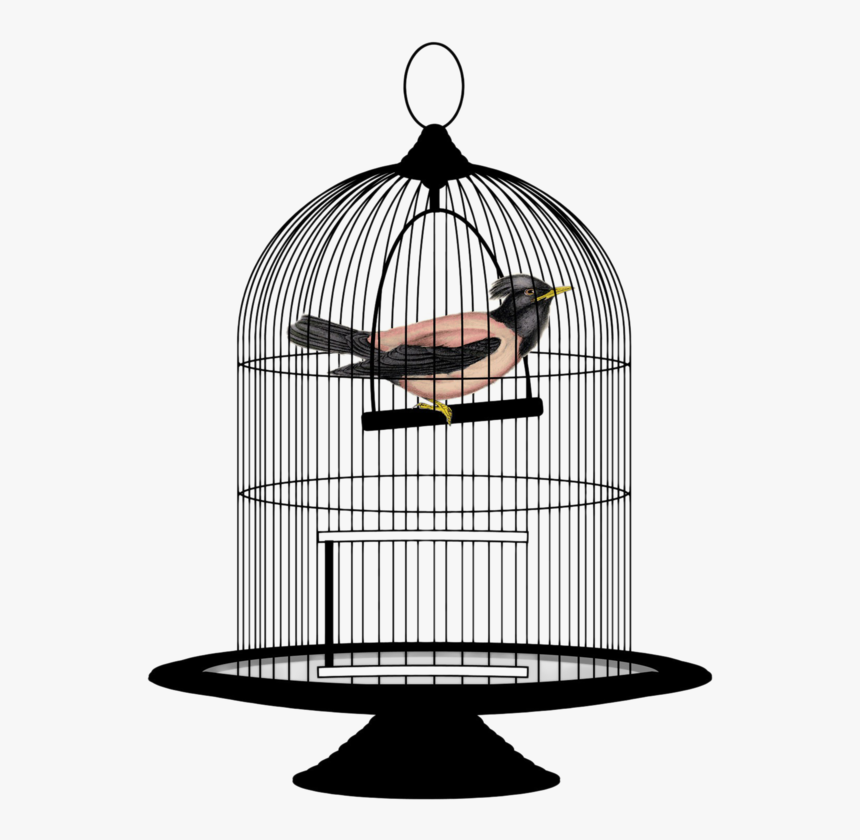 This Png File Is About Wires , Clipart , Cage , Mesh - Bird In A Cage Png, Transparent Png