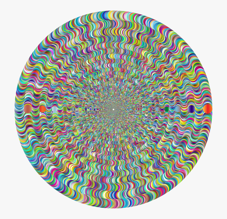 Circle,organism,symmetry - Circle, HD Png Download
