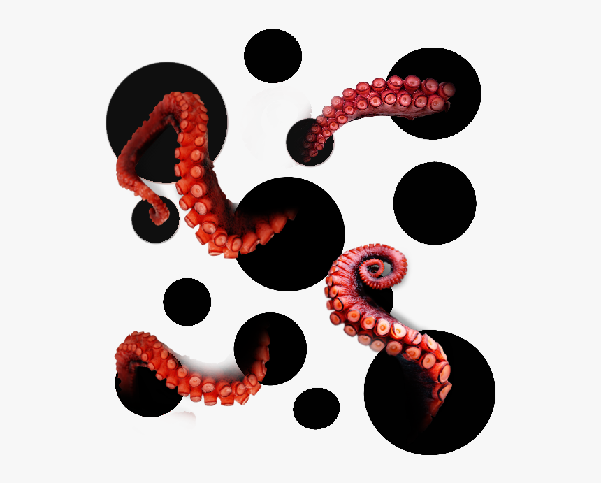 #ftestickers #octopus #tentacles - Illustration, HD Png Download