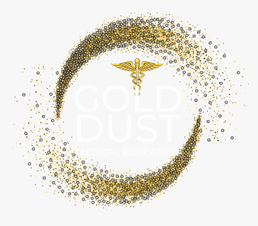 5 Star, HD Png Download