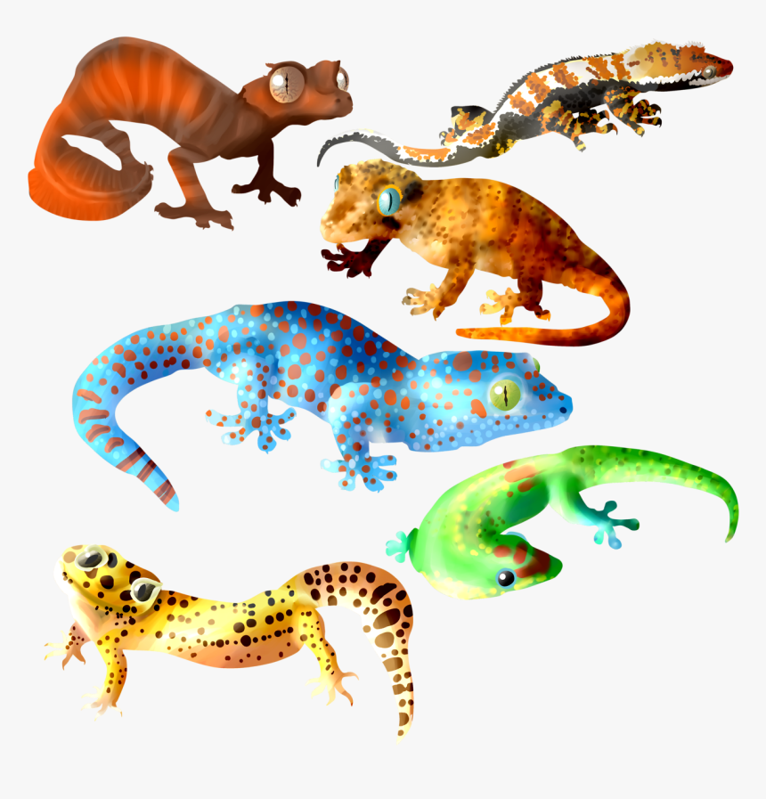 Transparent Dust Mask Clipart - Cute Leopard Gecko Art, HD Png Download