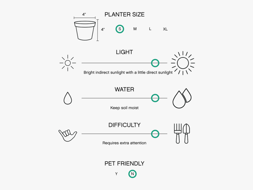 Estacion De Bomberos Planta, HD Png Download